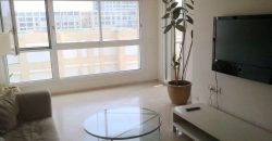 Furnished apartment Herzliya for rent